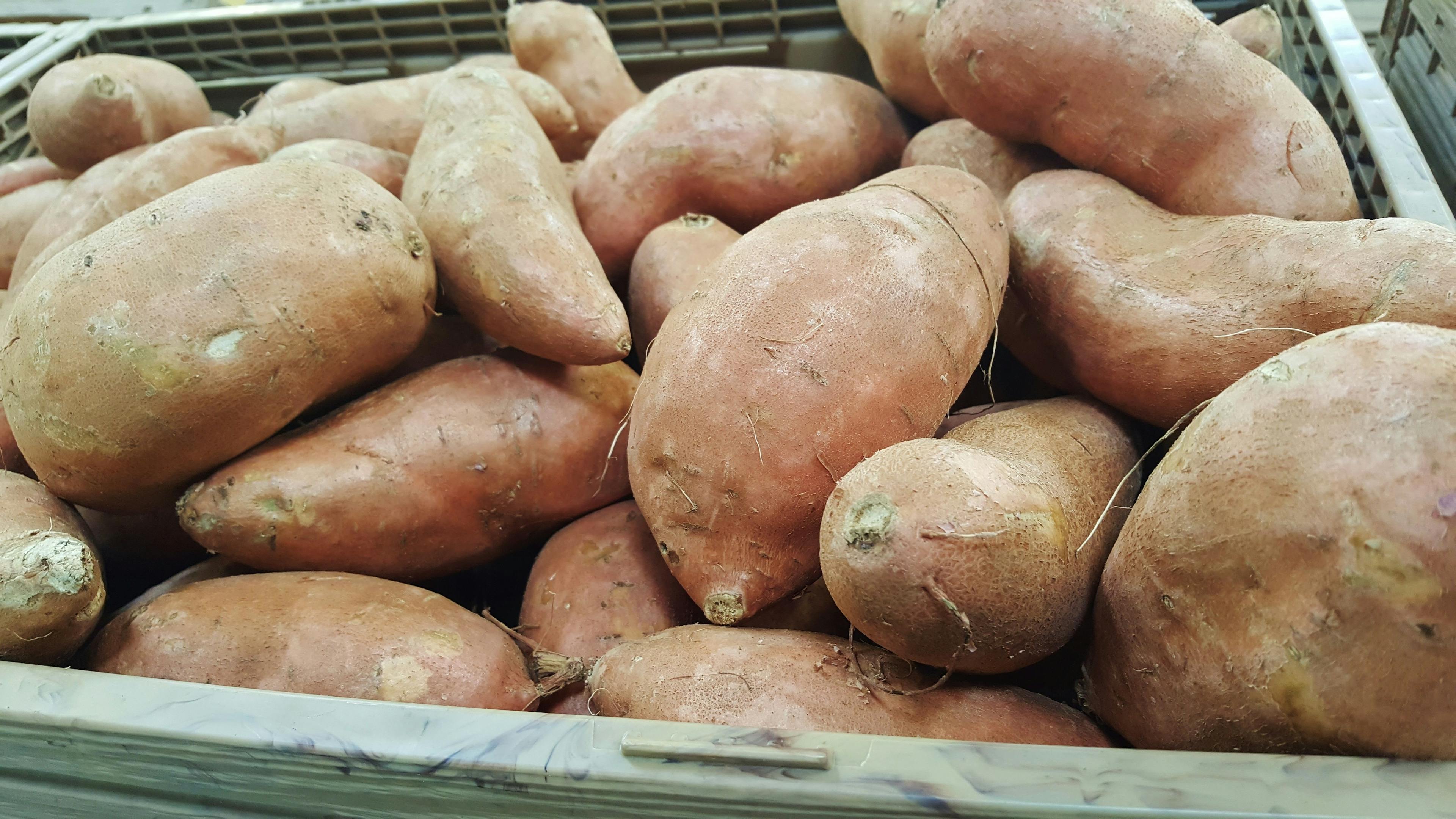 sweet-potatoes-1310287.jpg